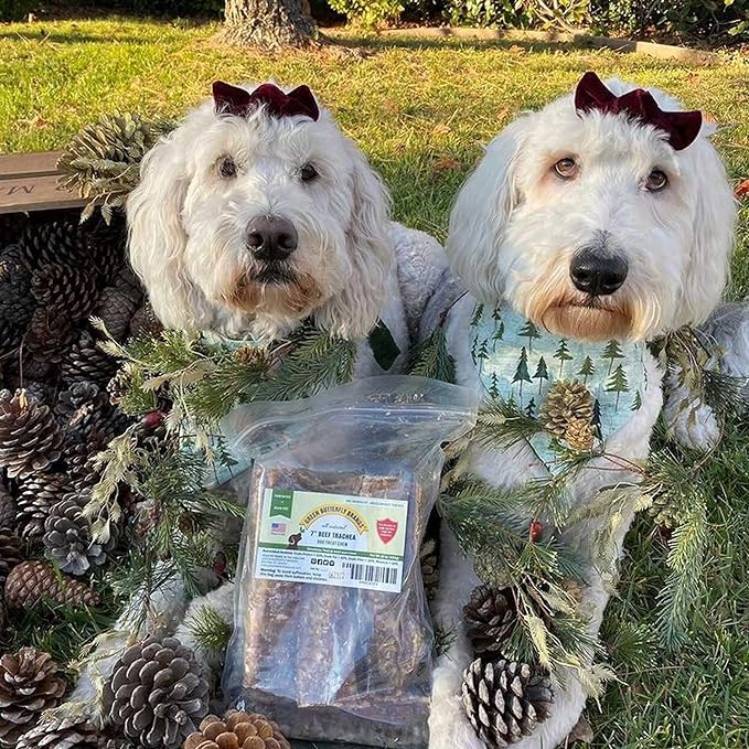 Dog Chews – Beef Trachea Dog Treat Chew Made in USA. Grass Fed Farm-Raised American Beef. Glucosamine Rich for Healthy Joints. All Natural Dental Chew (7" 16 OZ)