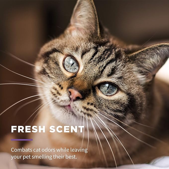 Wet Ones for Cats Freshening Wipes, Multi-Purpose Cat Grooming Wipes with Aloe Vera, Helps Remove Dirt, Odor, and Dander Between Baths, Fresh Scent, 50 Count