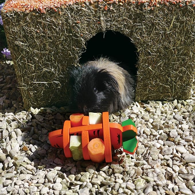 Rosewood Naturals Carrot Cottage Rabbit House, Large
