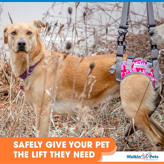 Walkin’ Warrior Rear Dog Harness for Mobility, Adjustable Handles, Rear Leg Dog Harness for Senior Dogs and Pets Recovering from Surgery