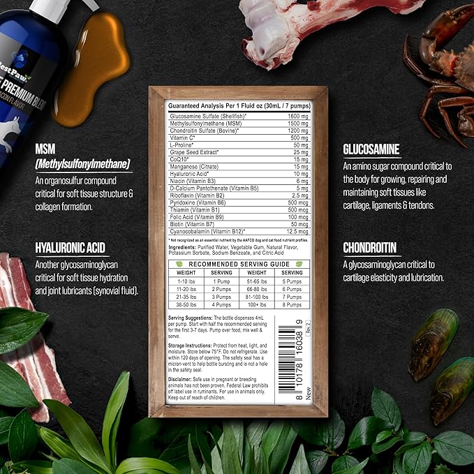 Best Paw Nutrition Liquid Glucosamine for Dogs - Glucosamine Chondroitin MSM & HA Joint Supplement for Dogs & Cats - Bacon Flavored Liquid Pump - Supports Mobility, Stiffness & Joint Comfort - 32 oz