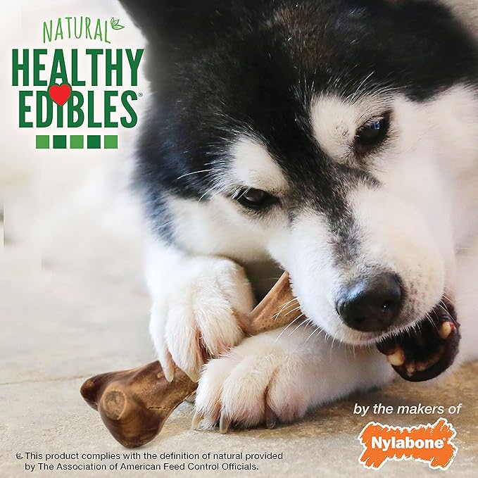 Nylabone Healthy Edibles Broth Bone Natural Dog Chews Long Lasting Treats Ham Flavor Large/Giant - Up to 50 lbs. (1 Count) (Pack of 2)