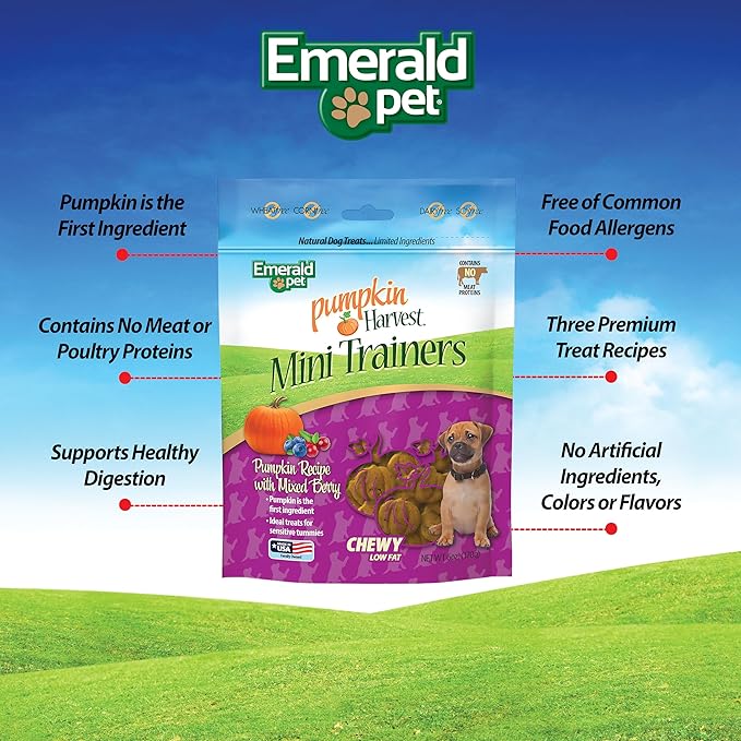 Emerald Pet Pumpkin Harvest Mini Trainers with Blueberris and Cranberries Chewy Dog Treats Made in The USA, Pumpkin with Mixed Berry 6oz (Mixed Berry Mini)