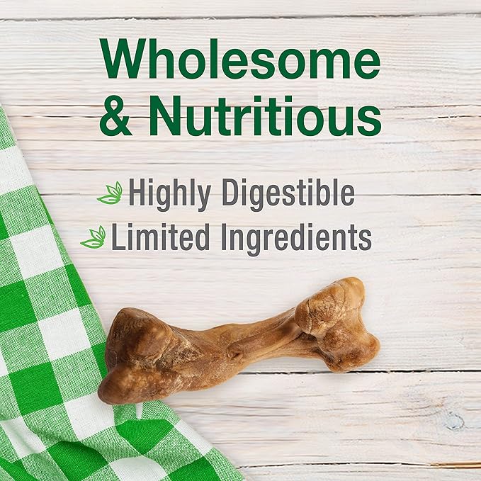 Nylabone Healthy Edibles Broth Bone Natural Dog Chews Long Lasting Treats Ham Flavor Large/Giant - Up to 50 lbs. (1 Count) (Pack of 2)