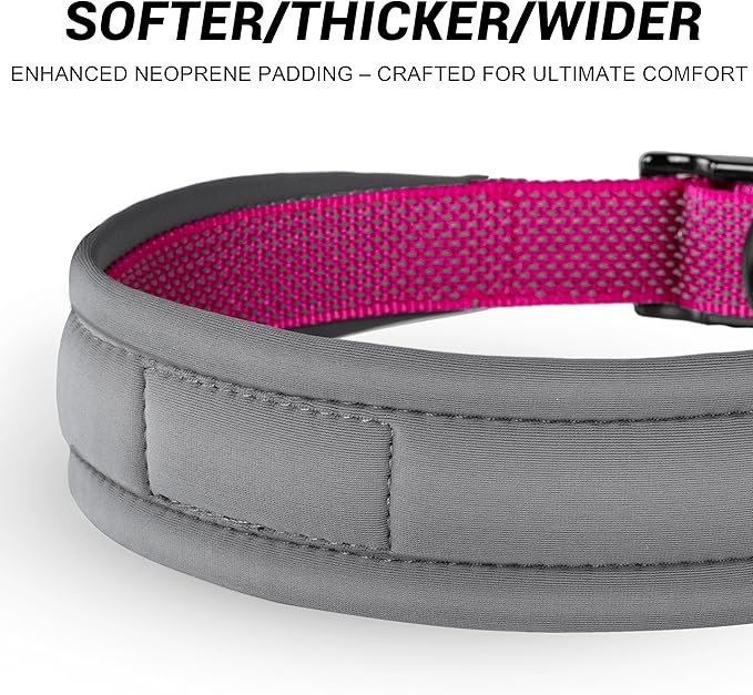Personalized Dog Collar with Name & Phone Number - Durable Metal Buckle, Ultra-Visible Fully Reflective, and Wide Comfort-Fit Padded Neoprene for Small, Medium, Large Dogs and Cats