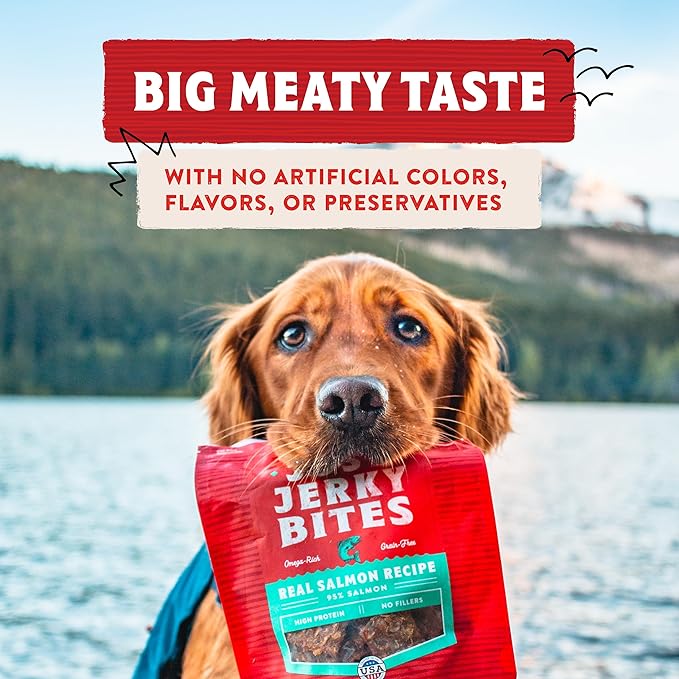 Stella & Chewy's Premium Chicken Jerky Dog Treats - 95% Real Meat Bites for Sensitive Stomachs - Natural Limited Ingredient Treats for Small and Large Dogs - No Grain, Wheat or Soy - 6 oz Bag