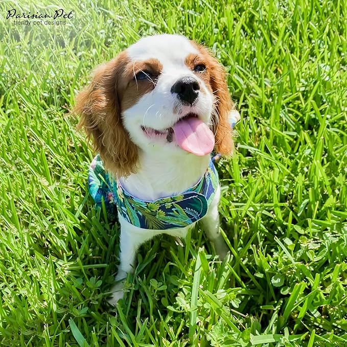 Parisian Pet Amazonia Dog Dress - Summer Clothes for Medium Dogs Girl - Tropical Pet Dress - Beach Dog Outfit - Lightweight Puppy Clothes - Jungle Print Dresses for Dogs - Female Dog Apparel