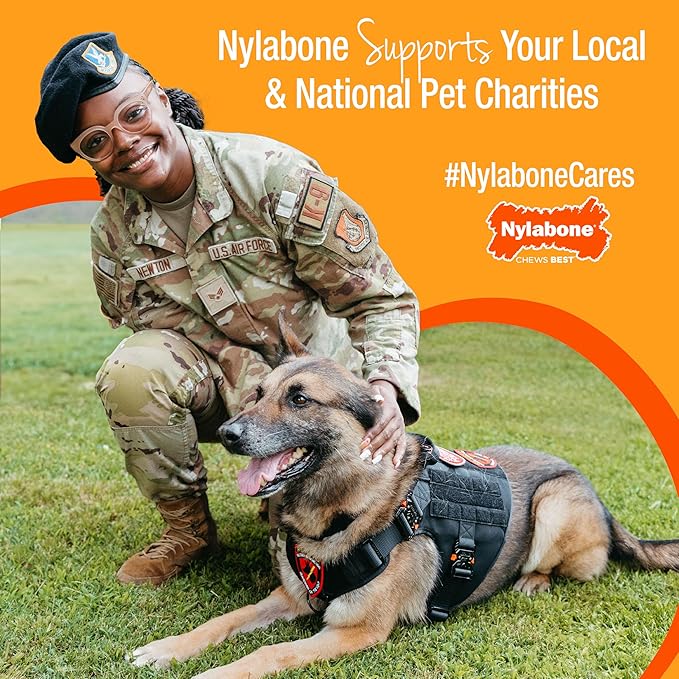 Nylabone Healthy Edibles Broth Bone Natural Dog Chews Long Lasting Treats Ham Flavor Small/Regular - Up to 25 Ibs. (4 Count)