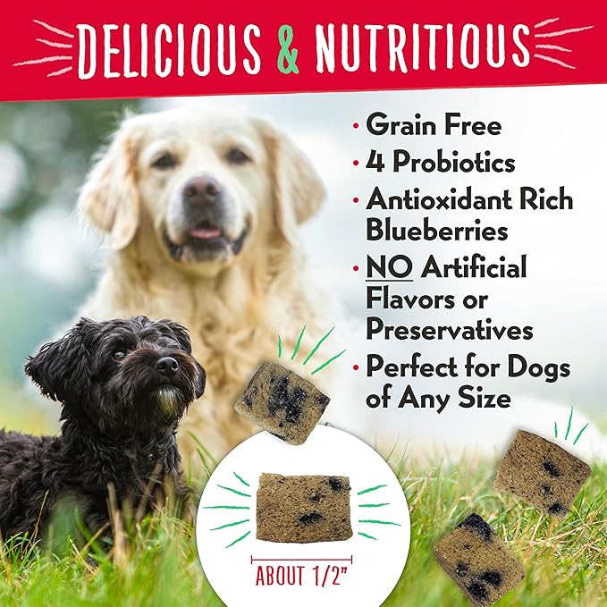 Charlee Bear Grain Free Meaty Bites Freeze Dried Dog Treats with Probiotics, Puppy Training Snacks, Soft Dog Bites Chicken with Blueberries, 2.25 oz Bags (2), Made USA