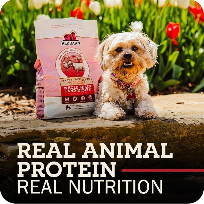 Redbarn Whole Grain Adult Dry Dog Food Kibble - Sky Chicken Recipe - Made in USA Recipe with Functional Ingredients to Support Healthy Heart, Skin, Coat, Immunity & Digestion - 22lb
