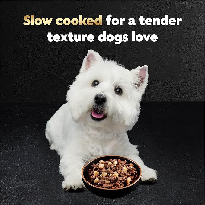 Cesar Home Delights Adult Wet Dog Food, Beef Stew Flavor, Wet Food for Dogs, 3.5 oz Tray, 24 Count
