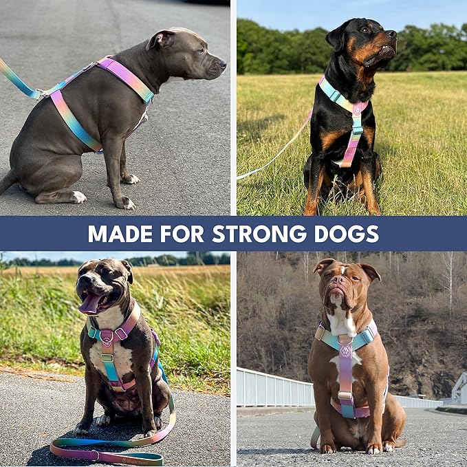 Spark Paws No Pull Dog Harness with Handle for Large Dogs, Heavy Duty Dog Harness for Big Strong Breeds, Adjustable, Y Shaped Padded Halter Design with Front Clip - Pastel Icing - S