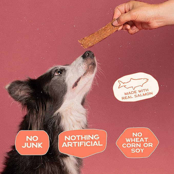 Smart Cookie Salmon Jerky Dog Treats - DHA, Omega Strips for Dogs & Puppies with Allergies, Sensitive Stomachs with Wild Caught Alaskan Salmon- Dehydrated, Grain Free, Made in USA - 3oz Bag, Pack of 3