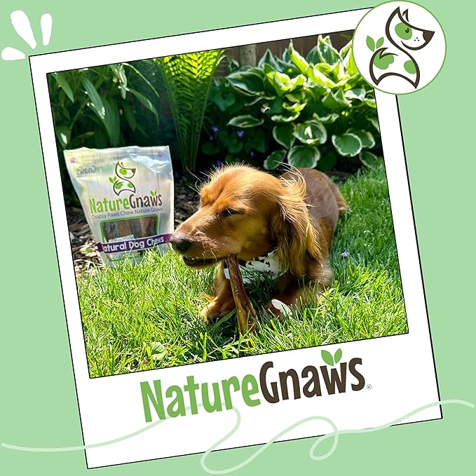 Nature Gnaws Thin Bully Sticks for Dogs 5-6" (1Lb) - Mixed Thickness - Long Lasting for Small Dogs and Puppies - Natural Thin Beef Dog Chew Bones - Rawhide Free