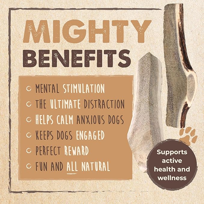 Mighty Paw Split Elk Antlers for Dogs (Sourced in The USA) | 2 Pack, Large 7"+ Long Lasting Bones for Aggressive Chewers - Naturally Shed Split Deer Antler for Dogs - Low Odor Chews