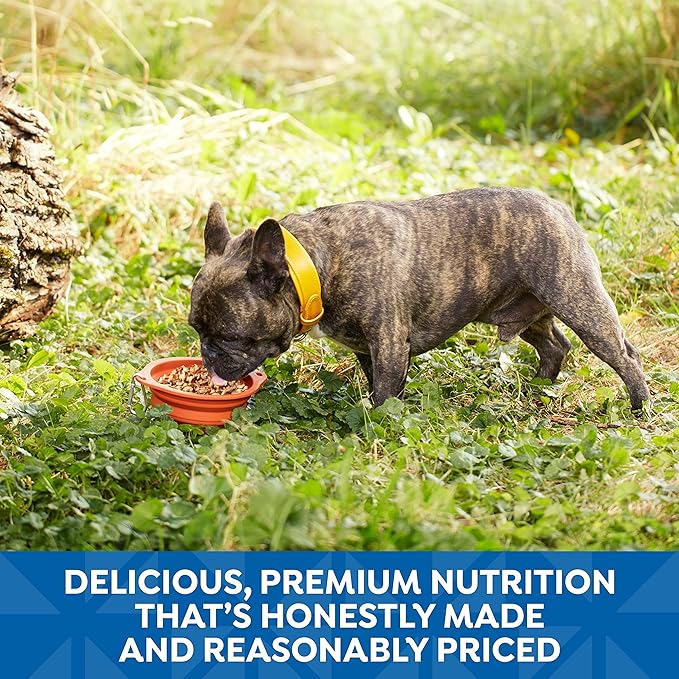 Nature's Recipe Wet Dog Food, Variety Pack, 2.75 Ounce Cup (Pack of 12) - Packaging may vary