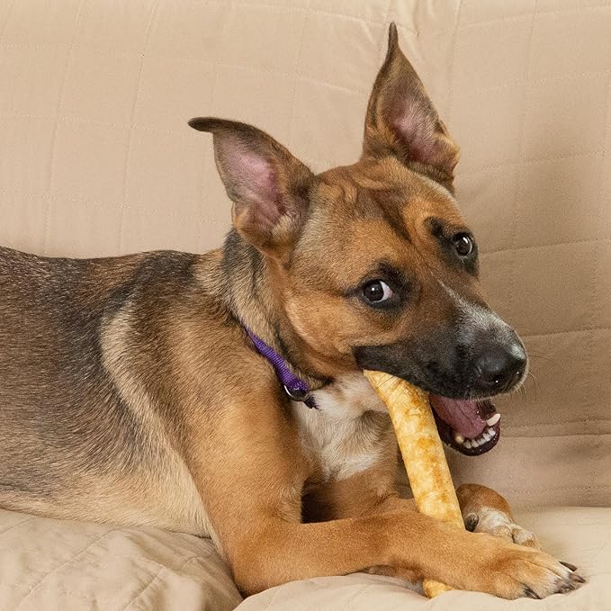 Fieldcrest Farms Nothin' to Hide 9-inch Ultra Knotted Bone Treat - Natural Rawhide Alternative Treats for Dogs, Collagen Based Snack for Heavy Chewers Over 50lbs - Beef Flavor, 1 Pack