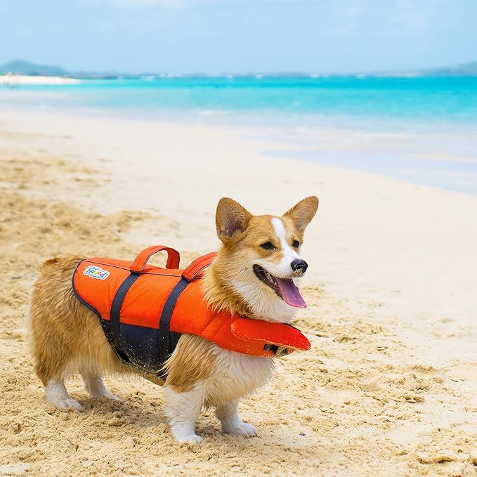 Outward Hound Granby Splash Orange Dog Life Jacket, Small
