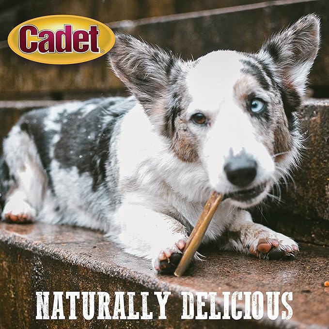 Cadet Bully Hide Sticks for Small Dogs, All-Natural Beef Pizzle, Limited-Ingredient Long-Lasting Dog Chews for Aggressive Chewers, 5 Count
