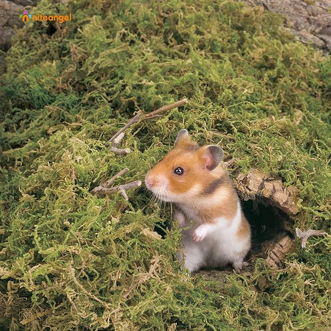 Niteangel 5L Forest Moss Soft Natural Moss Bedding Nesting for Dwarf Syrian Hamsters, Gerbils, mices, Degus or Other Small Animal