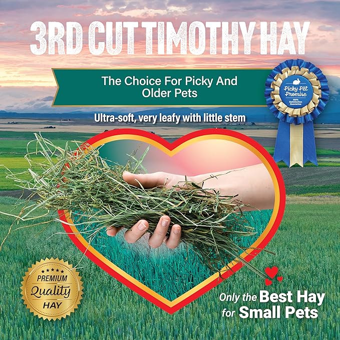 Small Pet Select 3rd Cutting Super Soft Timothy Hay Pet Food for Picky Eaters, Rabbits, Guinea Pigs, and Other Small Animals, Easy to Store Box, 2 LB