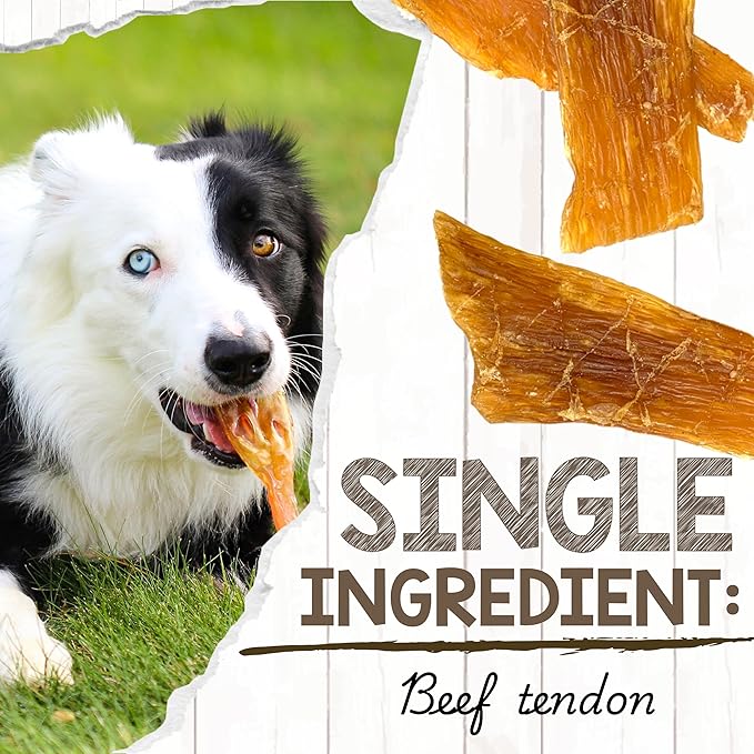 Nature Gnaws Beef Paddywack Tendons for Dogs 5-6" (10 Count) - Long Lasting for Aggressive Chewers - Natural Beef Dog Chew Bones - Rawhide Free