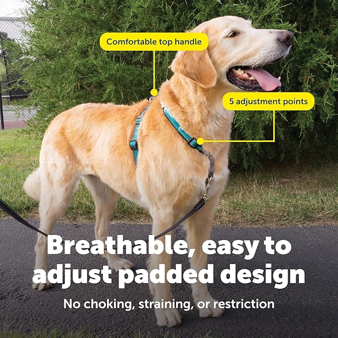 PetSafe 3 in 1 No-Pull Dog Harness for Large Dogs - Walk, Train or Travel - Helps Pets from Pulling on Walks - Seatbelt Loop Doubles as Quick Access Handle - Reflective- Large, Teal