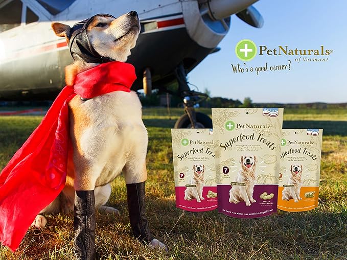Pet Naturals Superfood Dog Treats with Blueberry and Kale - No Corn, Wheat or Artificial Ingredients - Bacon Flavor, 100 Chews (Pack of 1)
