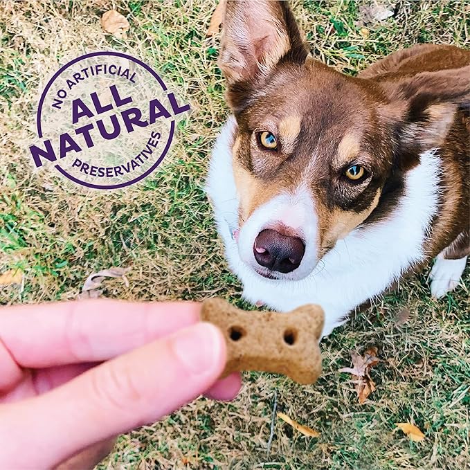Old Mother Hubbard Wellness Original Mix Dog Biscuits, Natural, Training Treats, Four Flavors, Mini Size, (20 Pound Box)