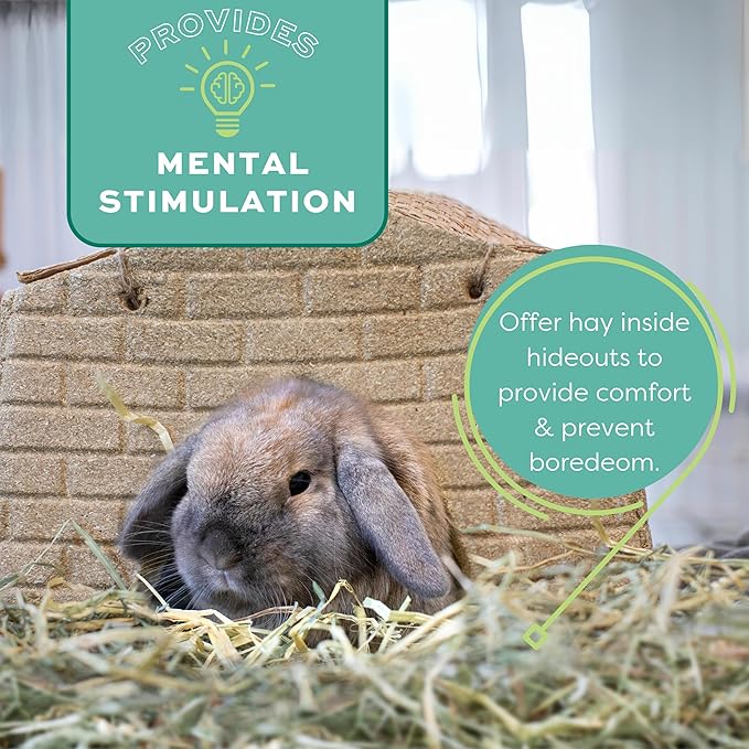 Oxbow Timothy Hay, Rabbit & Guinea Pig Hay, High Fiber for Digestive Health, Grown in The USA, Veterinarian Recommended Small Pet Supplies, Bulk Food for Rabbits, Guinea Pigs, & Chinchillas, 40 lbs