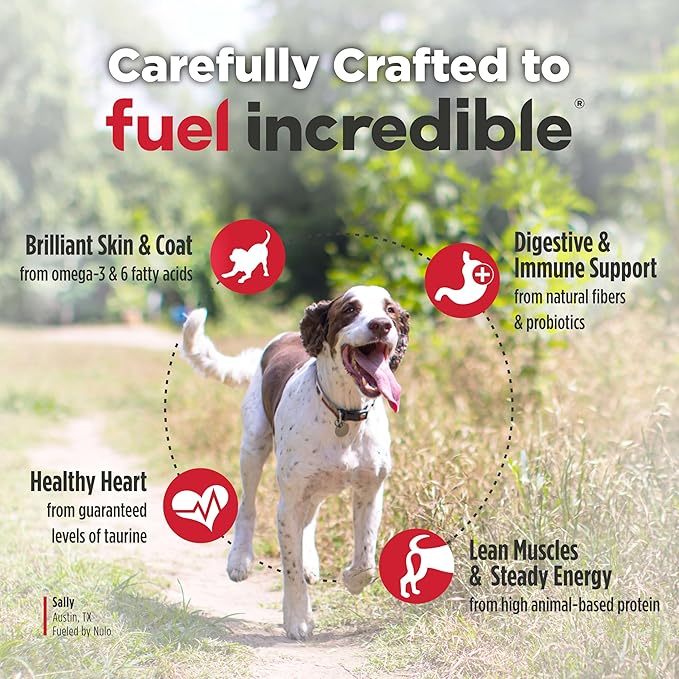 Nulo FreeStyle Senior Dry Dog Food - Trout & Sweet Potato, High Protein Grain Free Dog Food, Kibble with Probiotics, Glucosamine, Chondroitin, Hip and Joint Support, Small, Medium, Large Breeds, 26lb