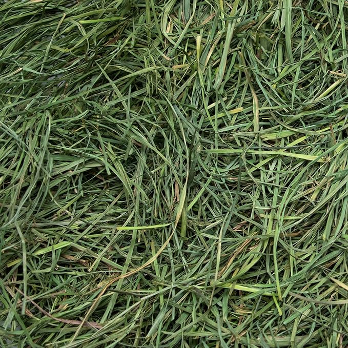 Rabbit Hole Hay - Ultra Premium Soft Orchard Grass for Small Pets - 40 lb Box - Fresh & Nutritious