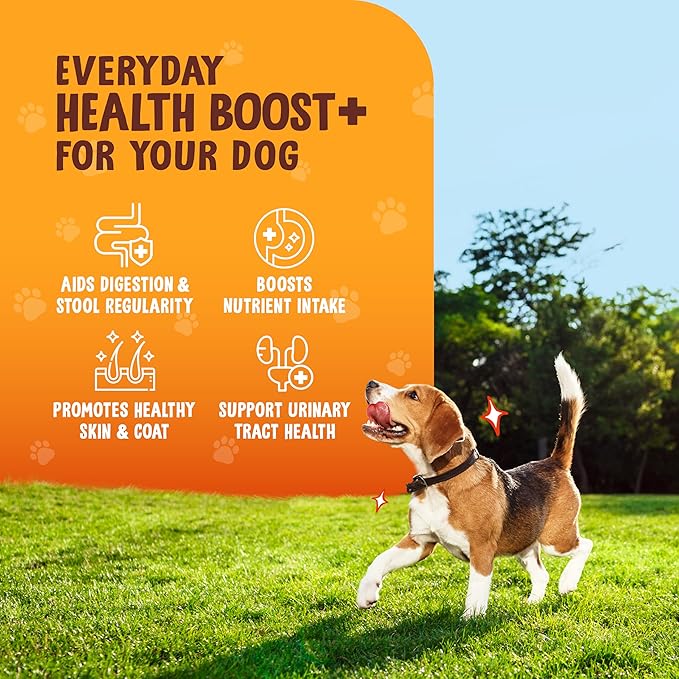 Pumpkin Powder for Dogs – High Fiber Digestive Support with Pumpkin & Sweet Potato – Relieves Diarrhea, Constipation, Upset Stomach – Food Topper or Mix with Water – 8 oz