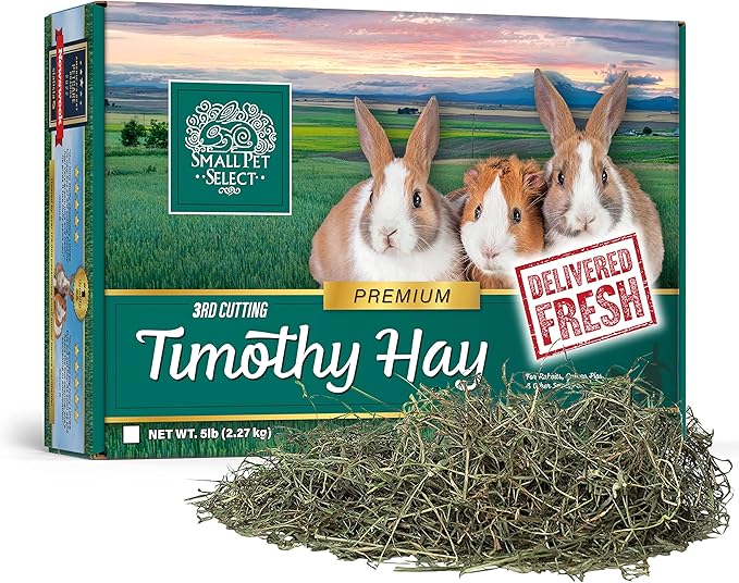 Small Pet Select 3rd Cutting Timothy Hay, Animal Food for Guinea Pig, Rabbit, Hamster, Bunny, or Chinchilla, Natural Hay Grown in The USA, 5lb