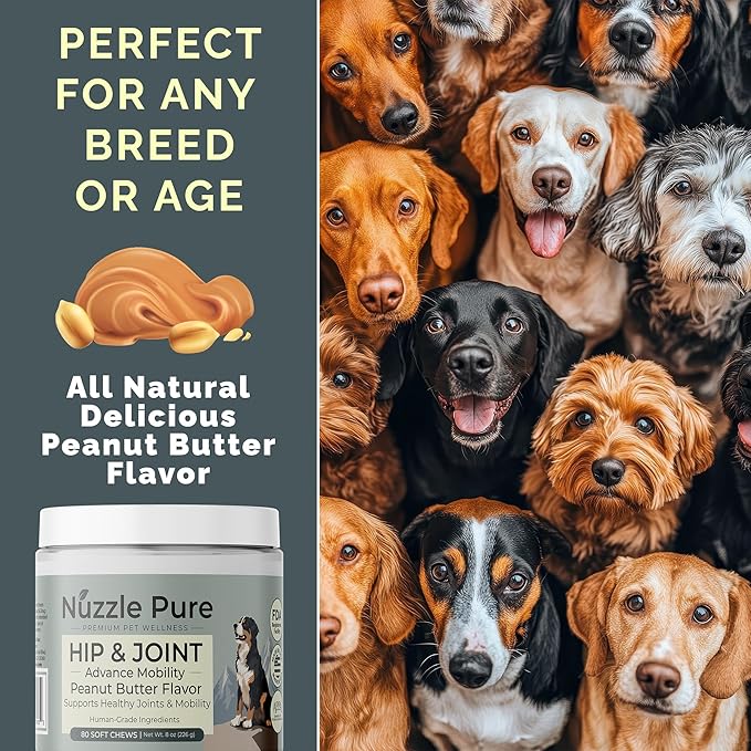 Nuzzle Pure Hip and Joint Supplement for Dogs