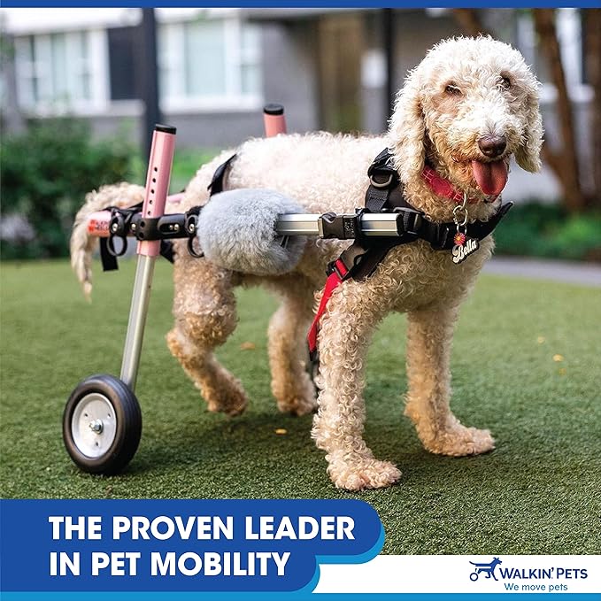 Walkin' Wheels Small Dog Wheelchair, Lightweight Dog Wheelchair for Back Legs, 11-14 lbs, for 7-8 inches Leg Height - Pink