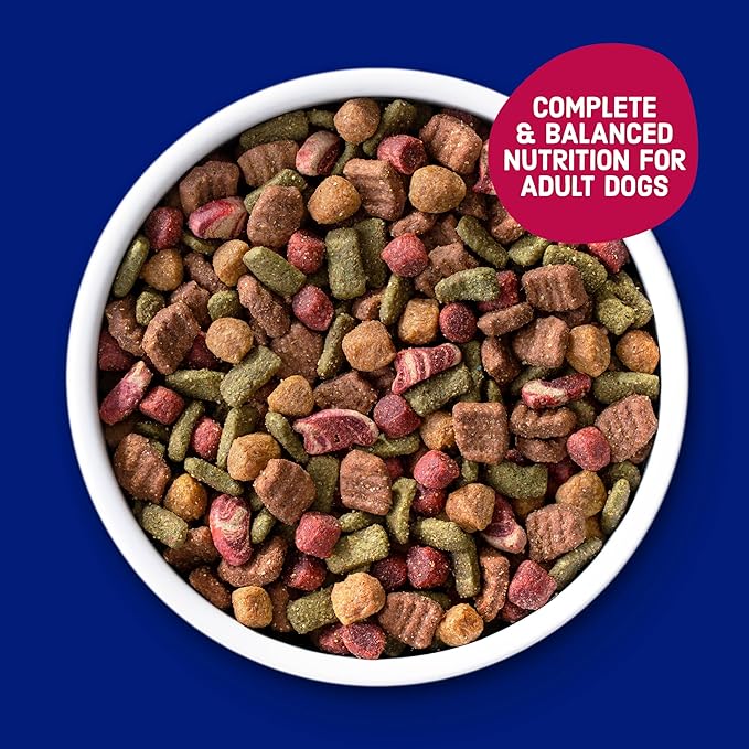 Kibbles 'n Bits Bistro Dry Dog Food, Oven Roasted Beef, Spring Vegetable & Apple Flavors for Adult Dogs, 3.5 lb. Bag, 4 Count