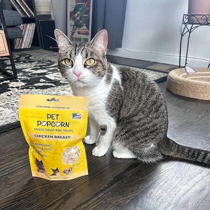 Freeze-Dried Raw Treats - Chicken Breast - 2.5oz Bag, Dog & Cat Snacks, Single Ingredient, Natural, Pet Food Topper, Protein‑Packed Meat