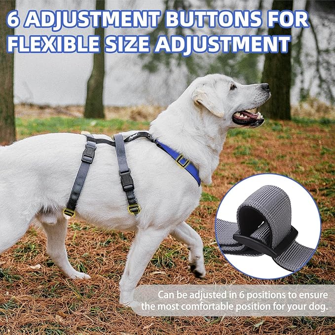 PUPTECK Escape Proof Dog Harness - No Pull Soft Padded Full Body Pet Halter Harness with Lift Handle for Small Medium Large Doggies Walking Hiking Hunting, Navy Blue & Grey, XL