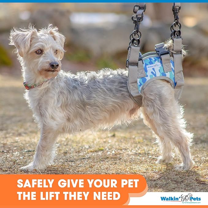 Walkin’ Warrior Rear Dog Harness for Mobility, Adjustable Handles, Rear Leg Dog Harness for Senior Dogs and Pets Recovering from Surgery