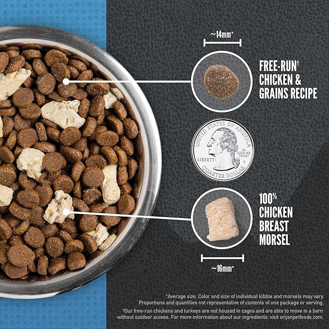 ORIJEN Wild Reserve Dry Dog Food Free-Run Chicken & Grains Recipe 4lb Bag