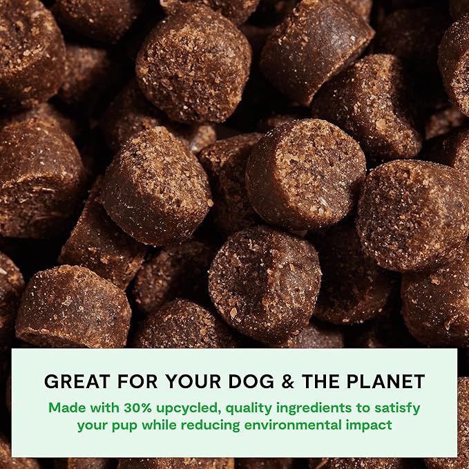 Open Farm, Be Good Bites, Soft Dog Training Treats, Small & Chewy, Made with Ethically & Sustainably Sourced Ingredients, Non-GMO Fruits & Grains, Grass-Fed Beef Recipe, 6oz Pouch