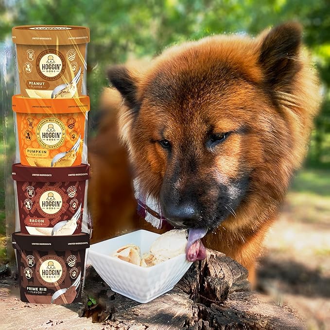 Hoggin Dogs Ice Cream Mix - Add Water and Freeze, All Natural, No Sugar Added, Made in USA by Puppy Cake 4 Pack Pumpkin, Bacon, Prime Rib and Peanut Flavors, 2.32 oz x 4
