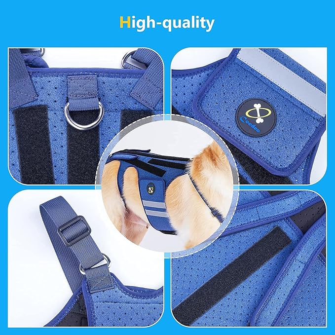 Coodeo Dog Back Brace for Dogs Arthritis, Pet Back Bracer for IVDD, Back Protector Helps Pain Relief, Surgical Recovery and Rehabilitation, Dogs Back Disease Prevention. (Blue,X-Large)