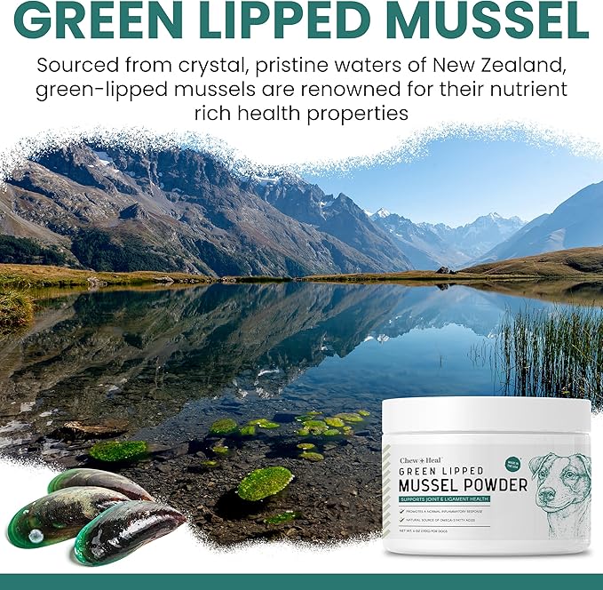 Green Lipped Mussel for Dogs - 6 oz of Green Lipped Mussel Powder for Dogs - Good for Joint and Ligament Health - Made in the USA