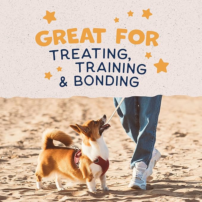 Natural Balance Limited Ingredient Rewards Crunchy Biscuits, Bite-Size Grain-Free Dog Treats for Small-Breed Dogs, Made with Real Duck, 8 Ounce (Pack of 2)