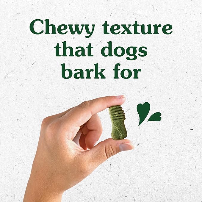 Greenies Anytime Bites Dog Treats, Mint Flavor, Dog Training Treats, 24 oz. Bag