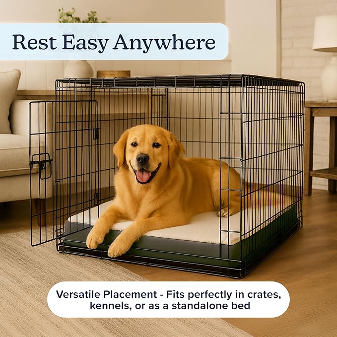 Orthopedic Dog Bed - 2-Layer 36x27-Inch Memory Foam Pet Mattress with Machine-Washable Sherpa Cover for Large Dogs up to 65lbs by PETMAKER (Gray)