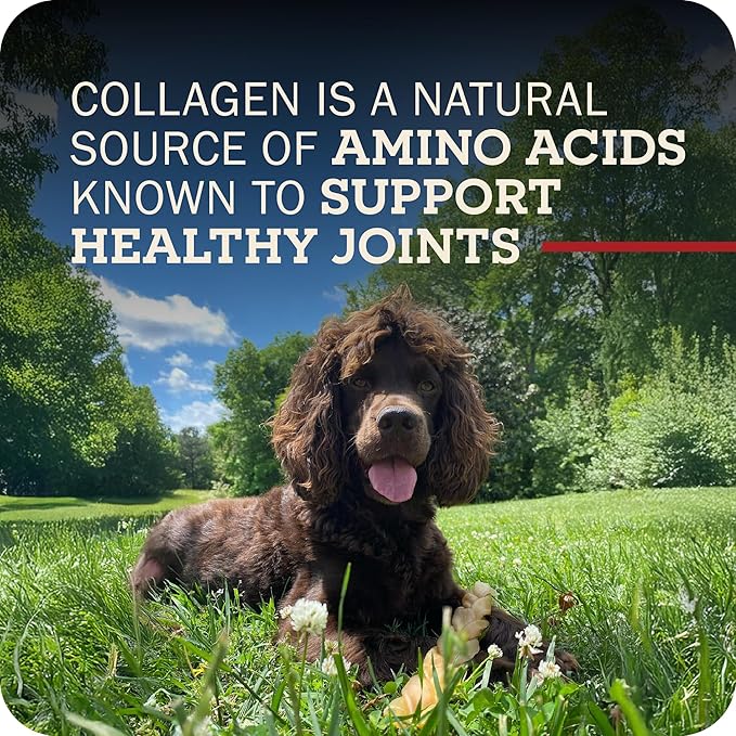 Redbarn Pet Products Collagen Braid - Small, Pack of 25