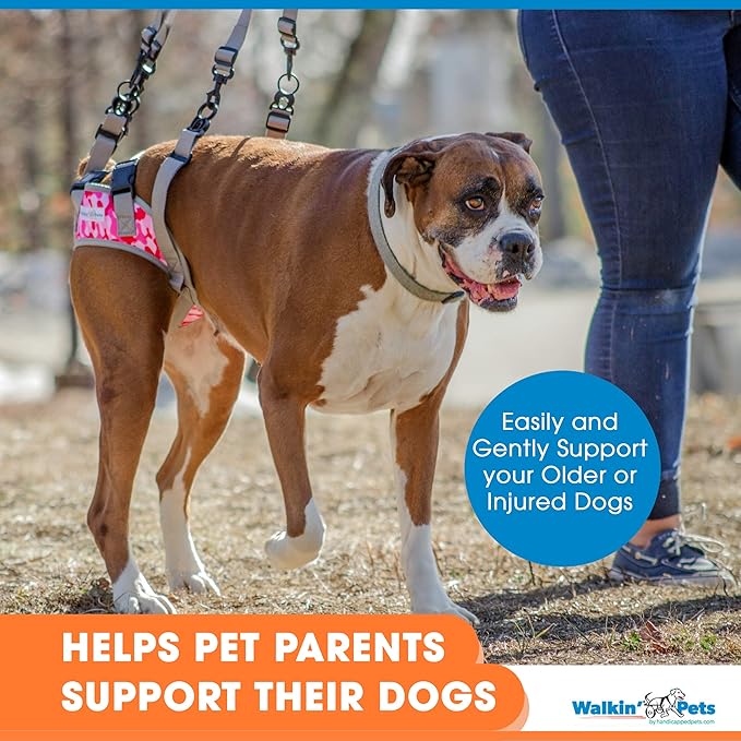 Walkin’ Warrior Rear Dog Harness for Mobility, Adjustable Handles, Rear Leg Dog Harness for Senior Dogs and Pets Recovering from Surgery